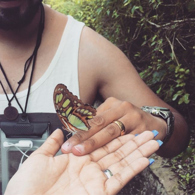 Mariposario