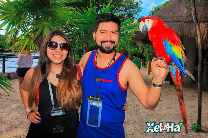 Xel Ha 3