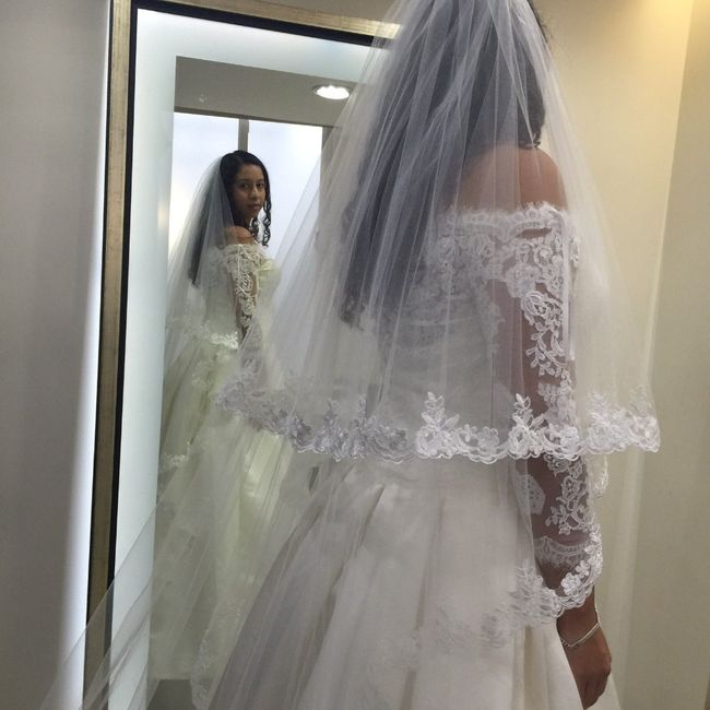 El mismo vestido con velo