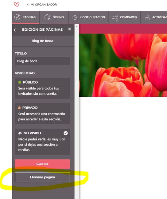 bye paginas