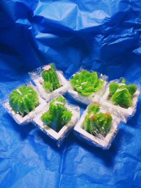 Mis recuerdos para el dia b 2