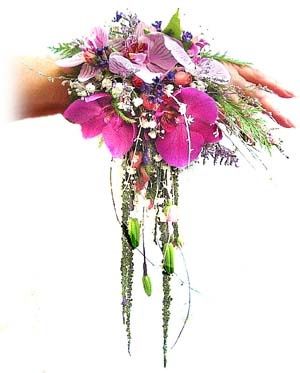 Un complemento para siempre!! - 4