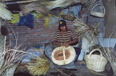 santa anita nopalucan