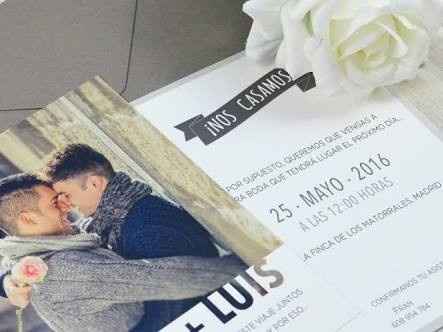 mi boda gay - 6