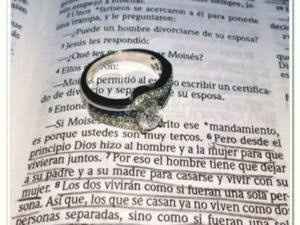 álbum fotográfico - 3