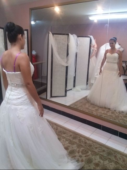 Mis vestidos! - 0