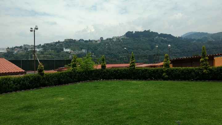 Es oficial nuestro salon-jardín :) - 2