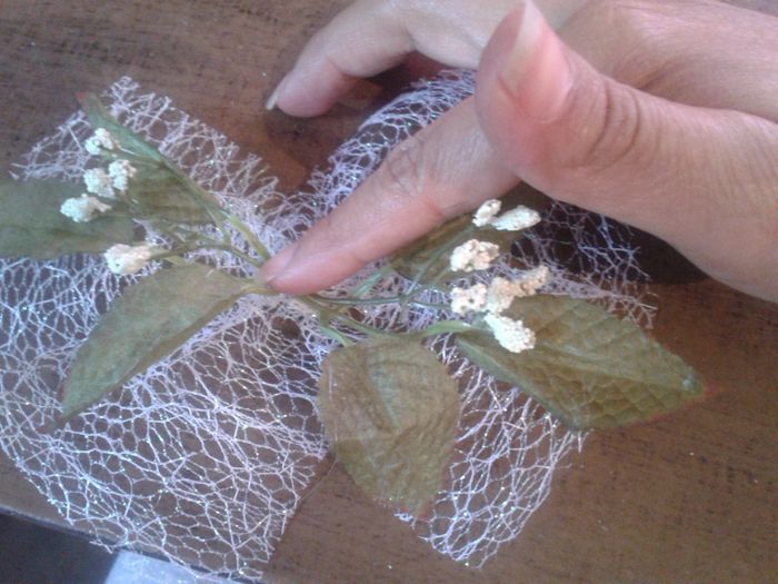 57 dias....... Los corsages - 7