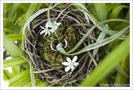 En q iran sus anillos???? - 9