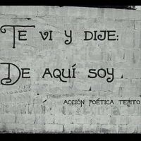 Acción Poética
