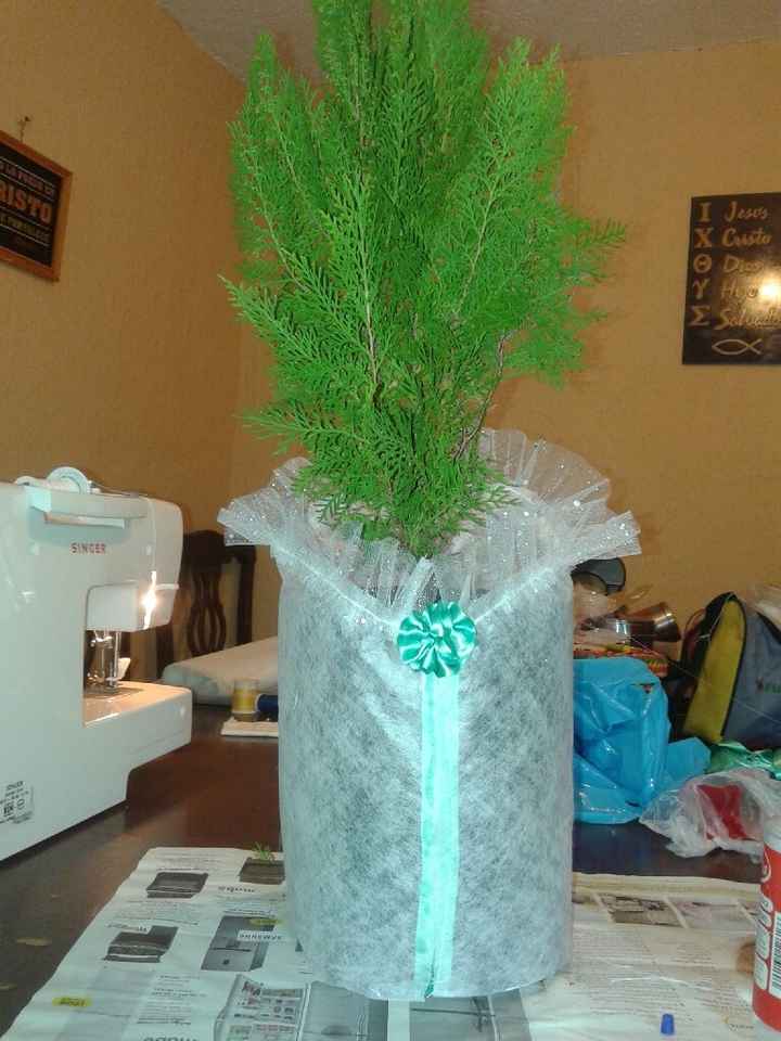 Asi quedaran mis árboles que voy a regalar - 2