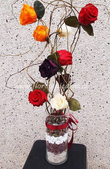 Flores curly