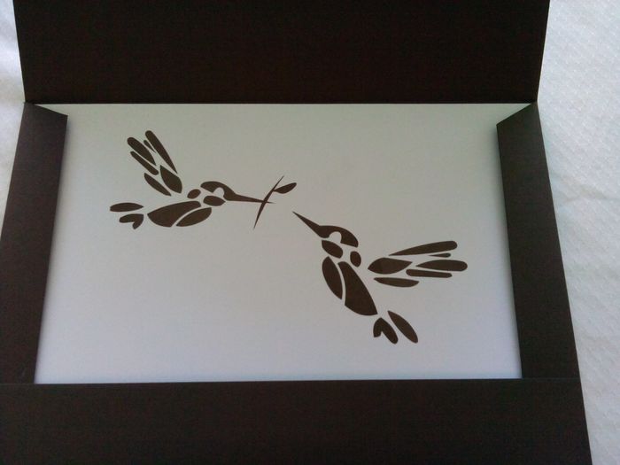 colibrí 