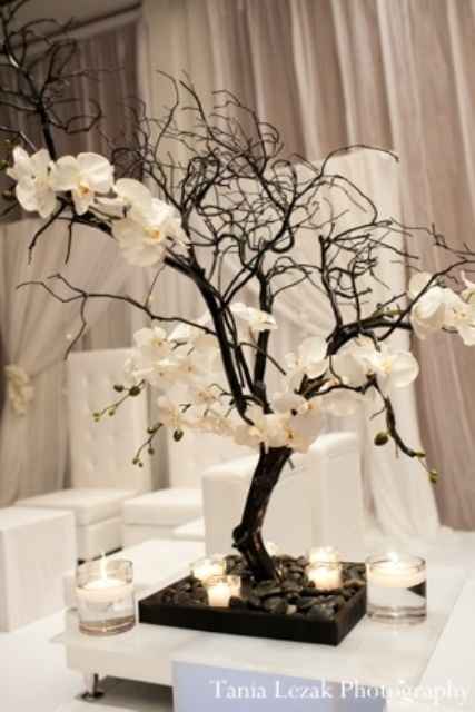 Publicidad engañosa - 1