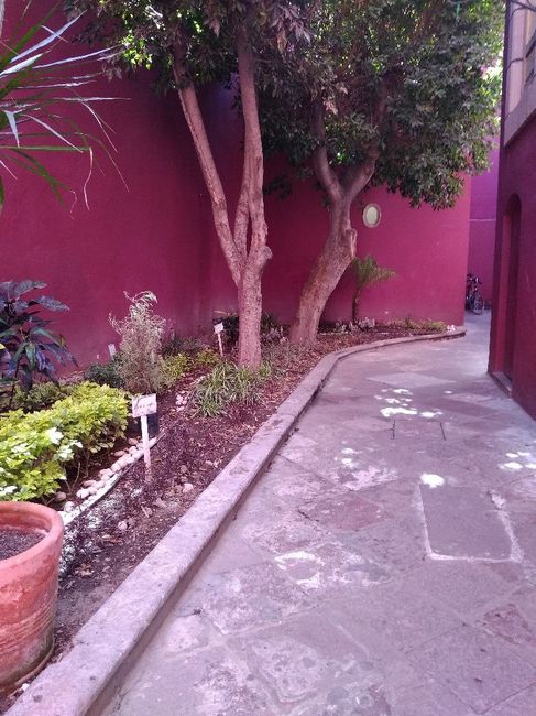 Cual opción de locación para Firths Look? - 8