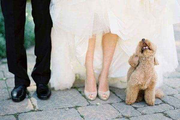 Fotos con su mejor amigo 🐕🐶 - 5