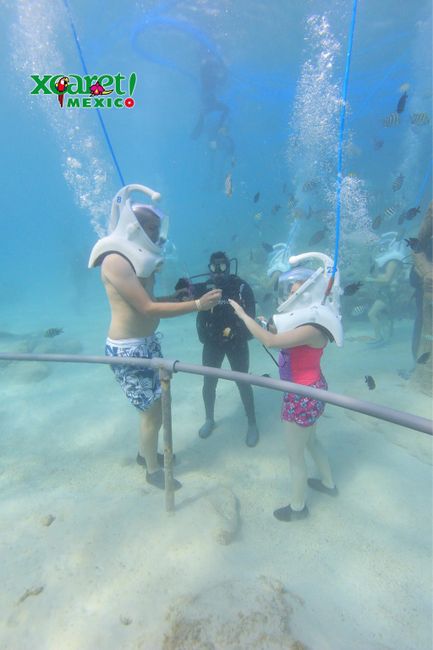 Quiero compartir algo muy especial.   - 1