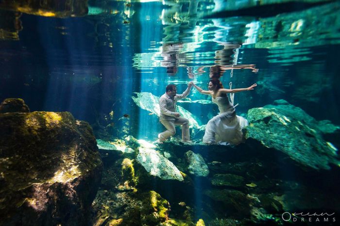 Tenemos fotógrafo 📸 - 1