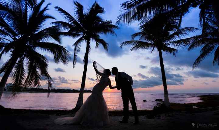 Tenemos fotógrafo 📸 - 4