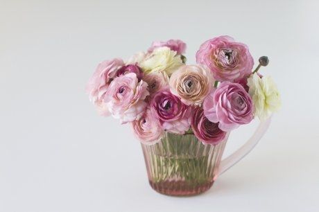 Ranunculus