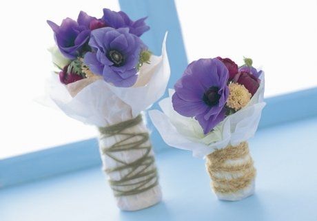Anemone