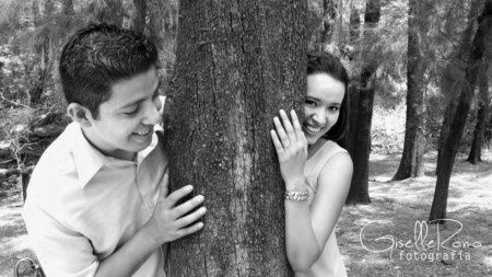 Sesion