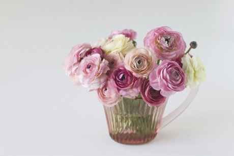 Ranunculus