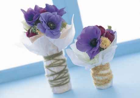 Anemone