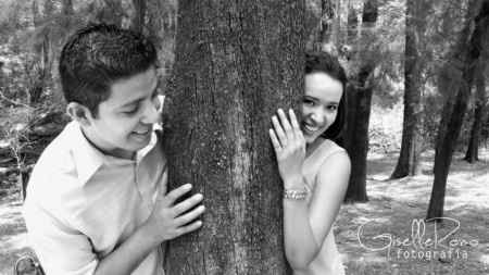 Sesion