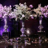  Avances de mi Boda! - 5