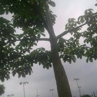 Nuestra primera cita j & r - 1