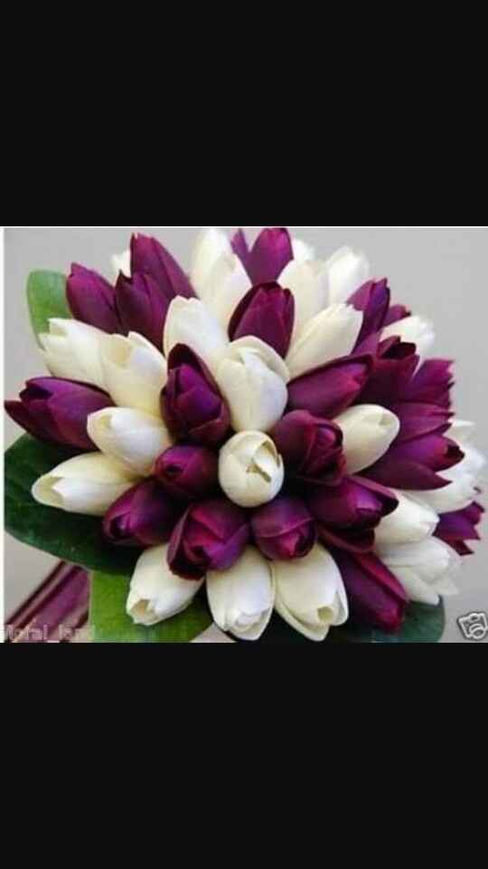 Anely me presento....!!! - 7