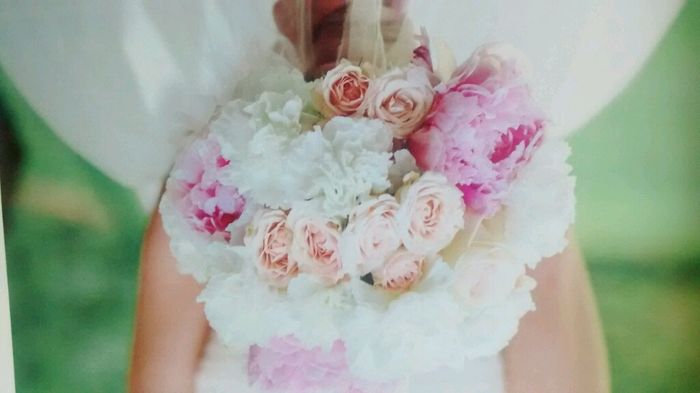 Novi@s de noviembre 2016 - 1