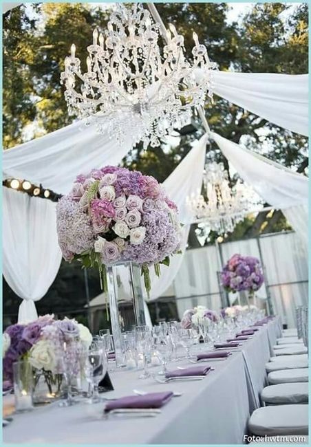 Anely me presento....!!! - 8