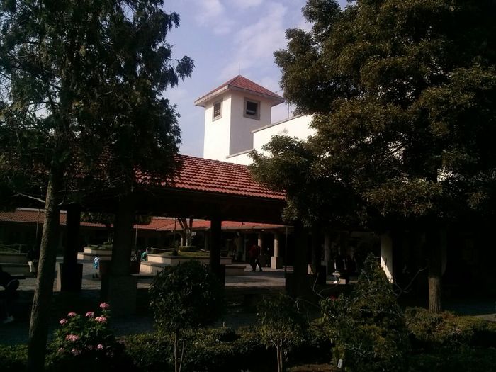 Iglesia donde me casare !!!! - 5
