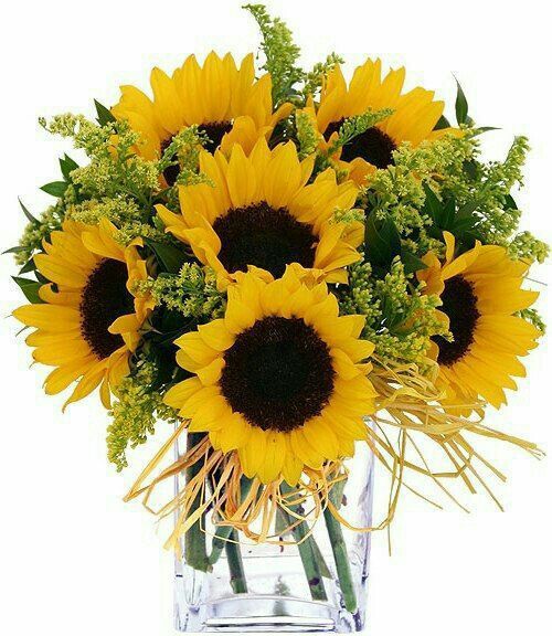  Girasoles en la boda🌻 - 7