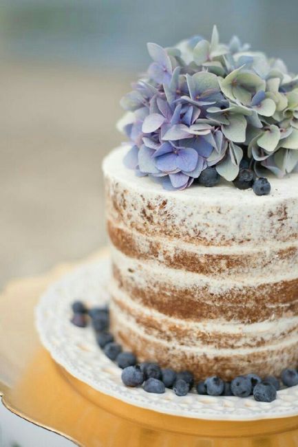  Ideas de pastel estilo naked - 9