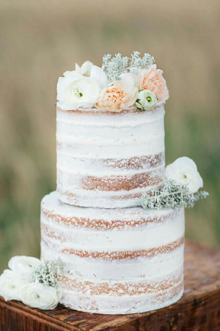  Ideas de pastel estilo naked - 15
