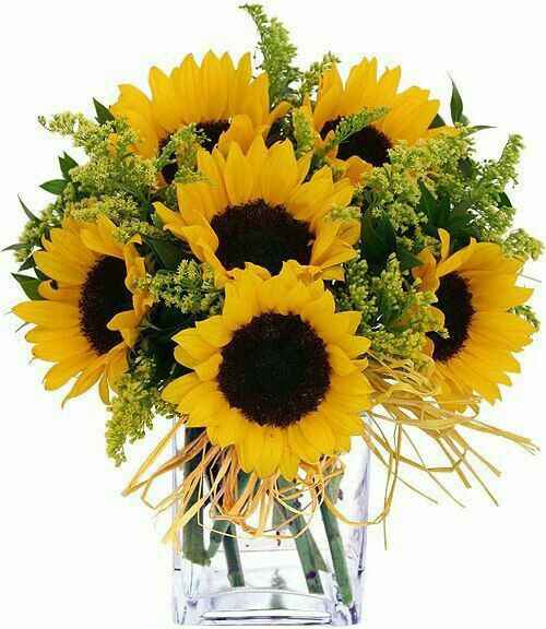  Girasoles en la boda🌻 - 7
