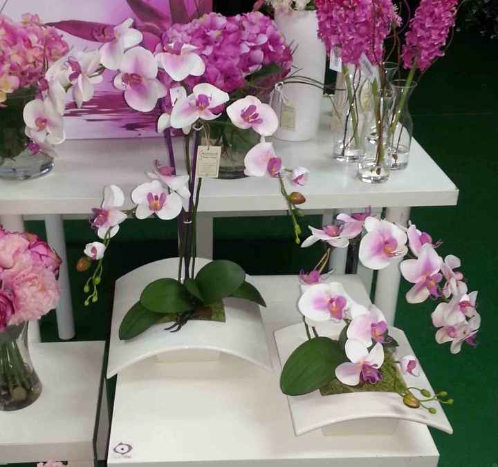 Ejemplo de orquideas