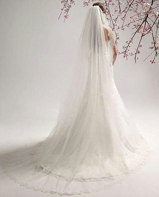  En busca de velo!! - 2