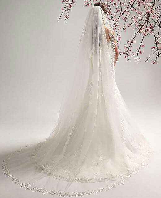  En busca de velo!! - 2