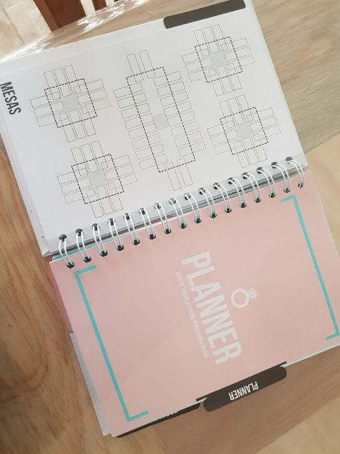 Llego mi agenda!!! - 3