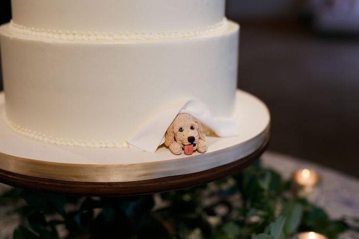 Pasteles para Dog Lover's - 5