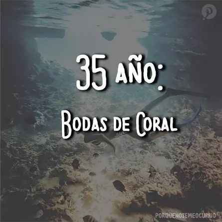  Significado de los aniversarios de bodas 👰🏻🤵 - 17