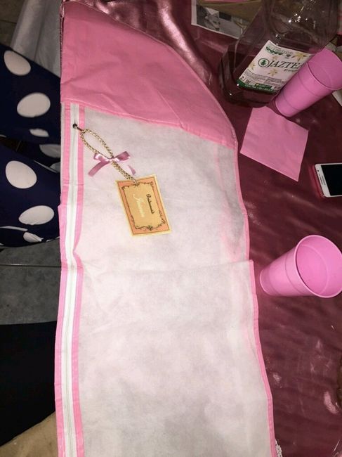 Primera reunión de madrinas - 10