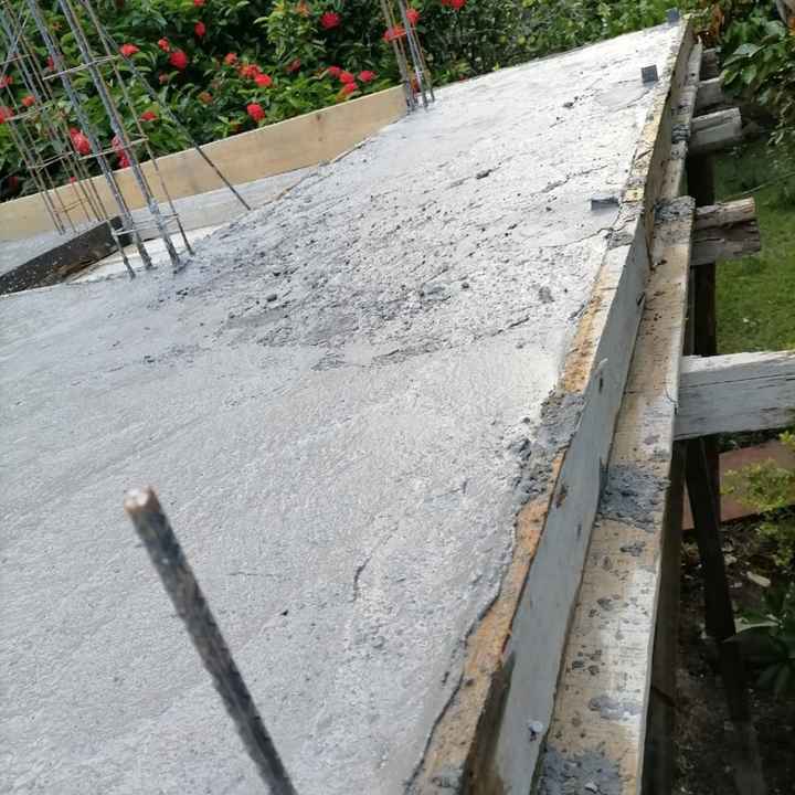 Feria de Bodas: Patitos - 1