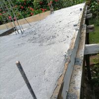 Feria de Bodas: Patitos - 1