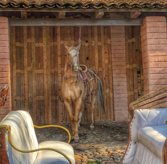 La propuesta más bonita! 💍 - 6