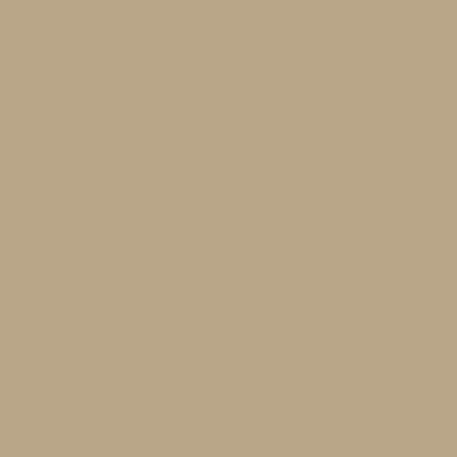 color camel 